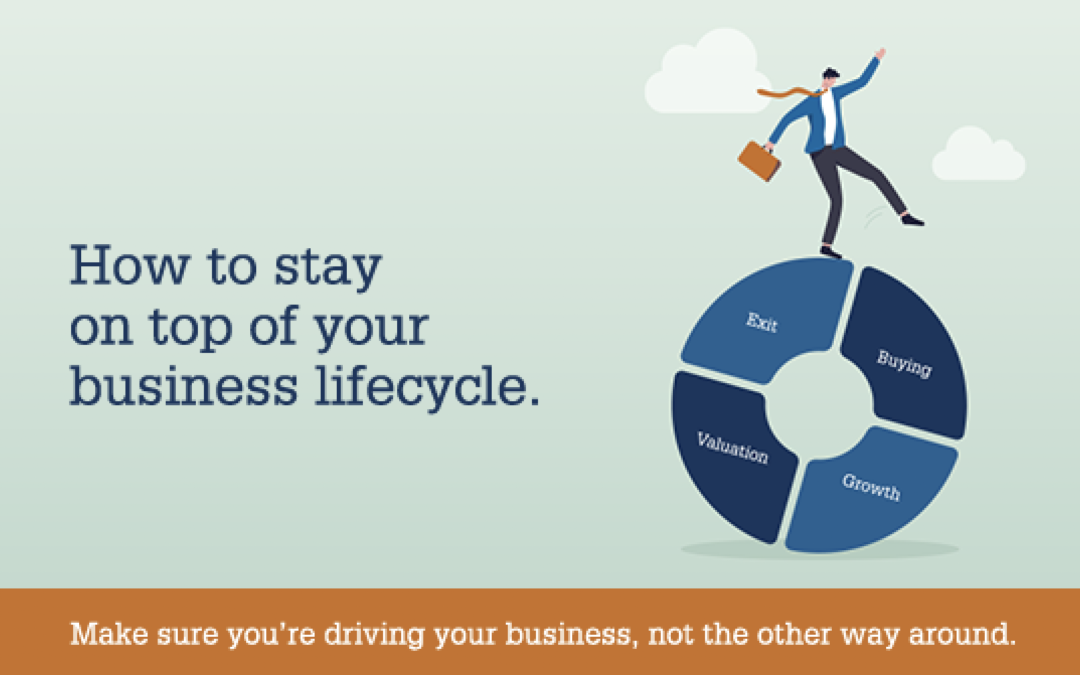 business lifecycle graphic
